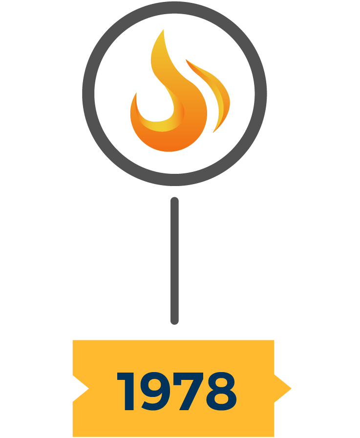 About Hofincons Irca global