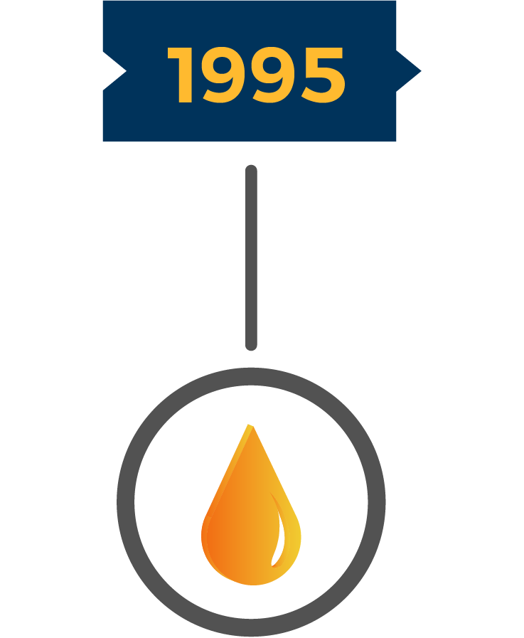 About Hofincons Irca global