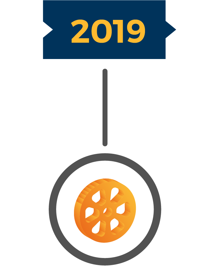 About Hofincons Irca global