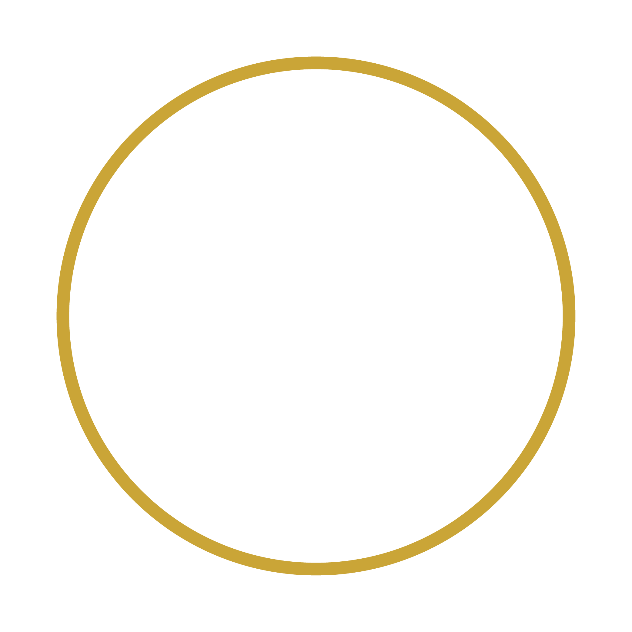 About Hofincons Irca global