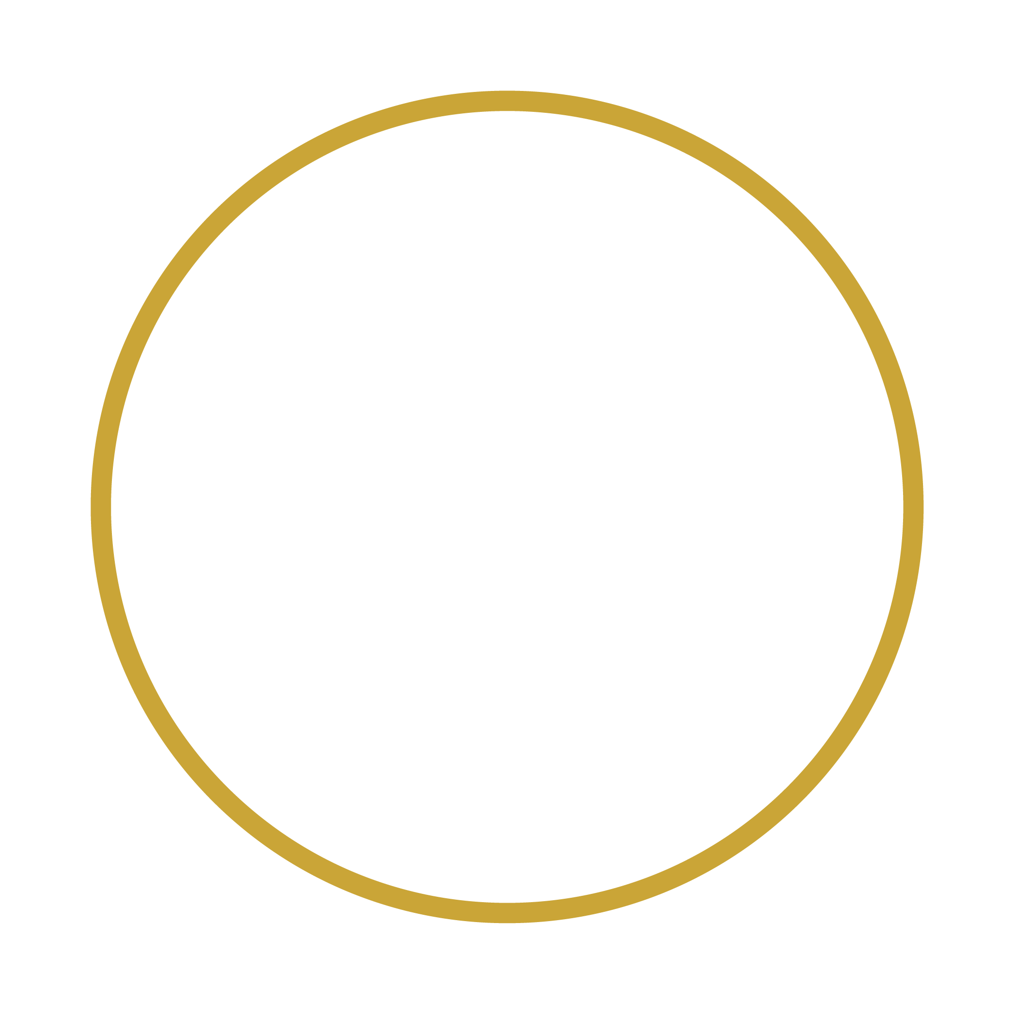 About Hofincons Irca global