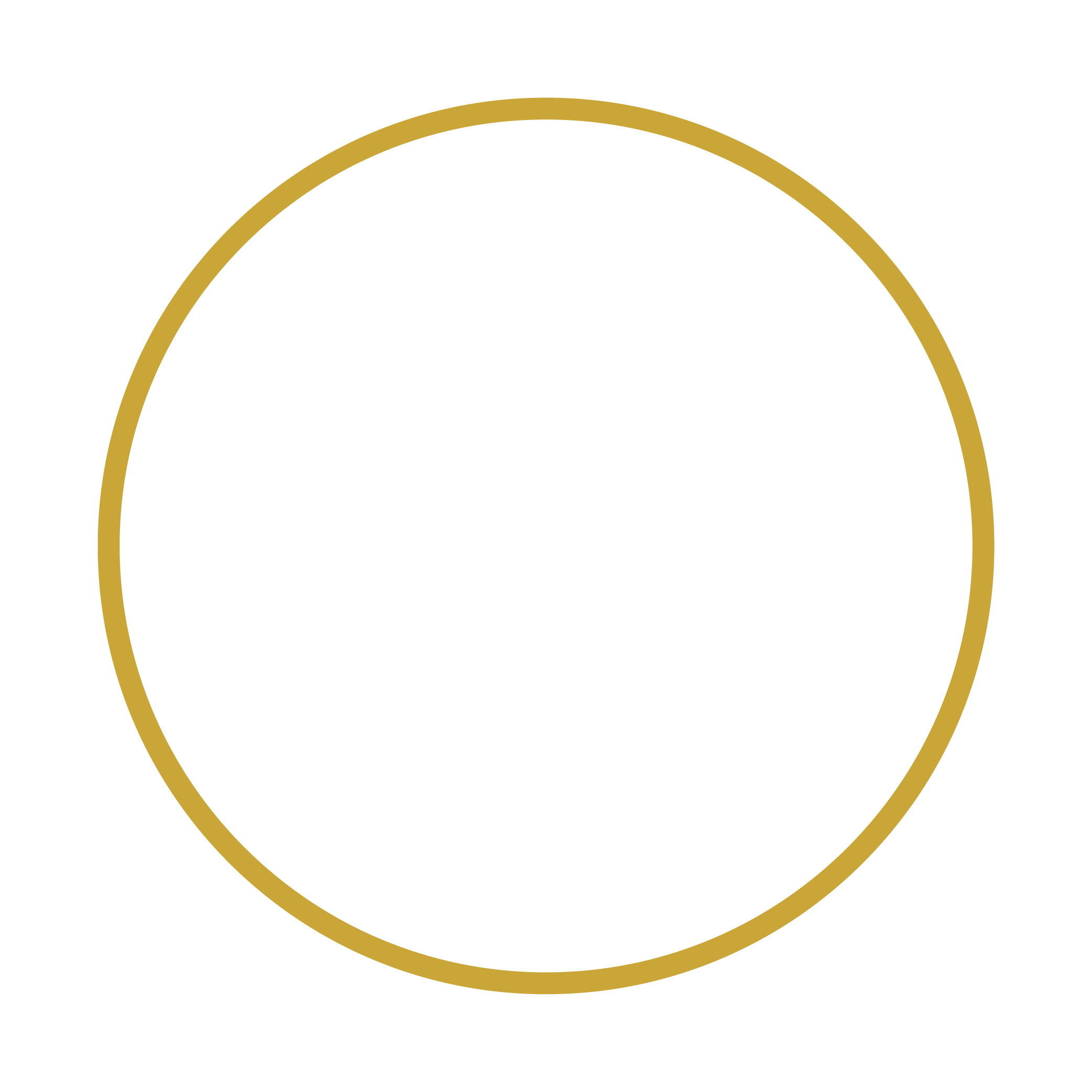 About Hofincons Irca global