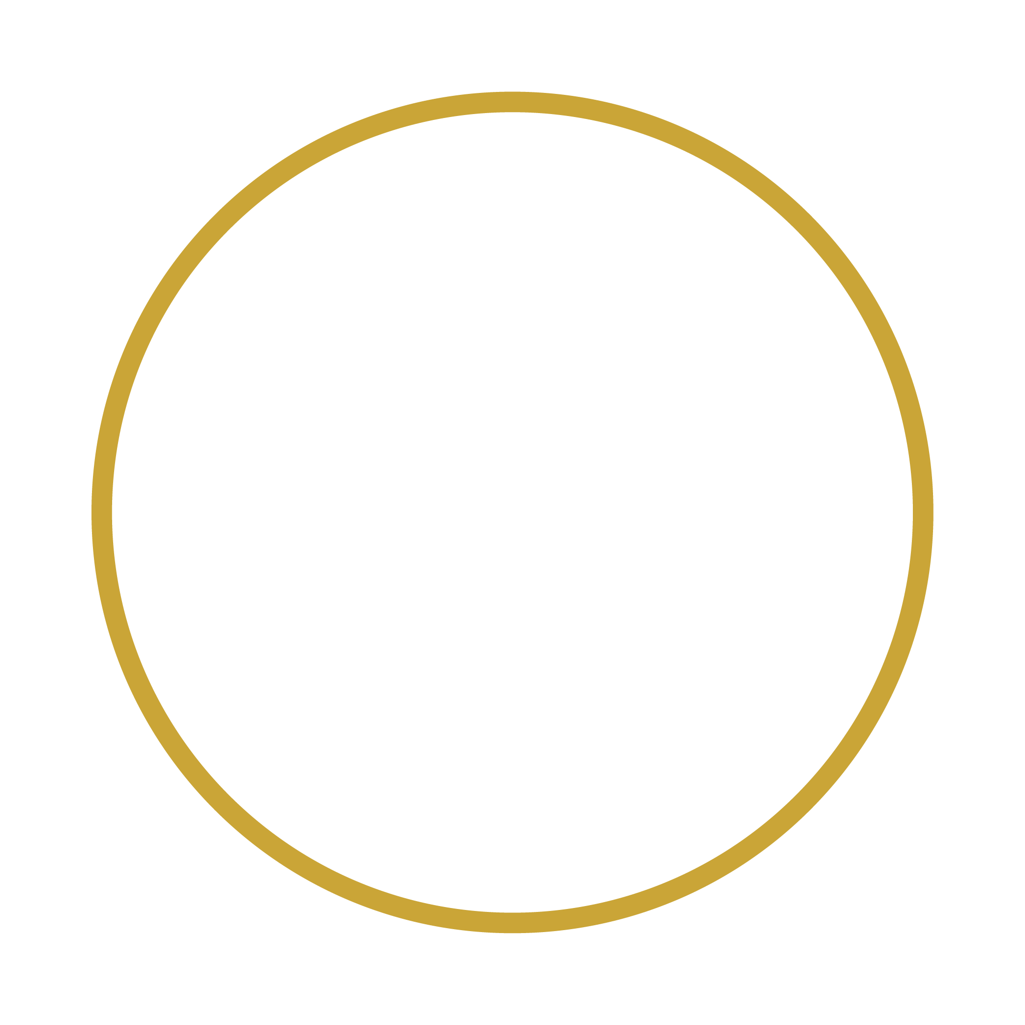 About Hofincons Irca global